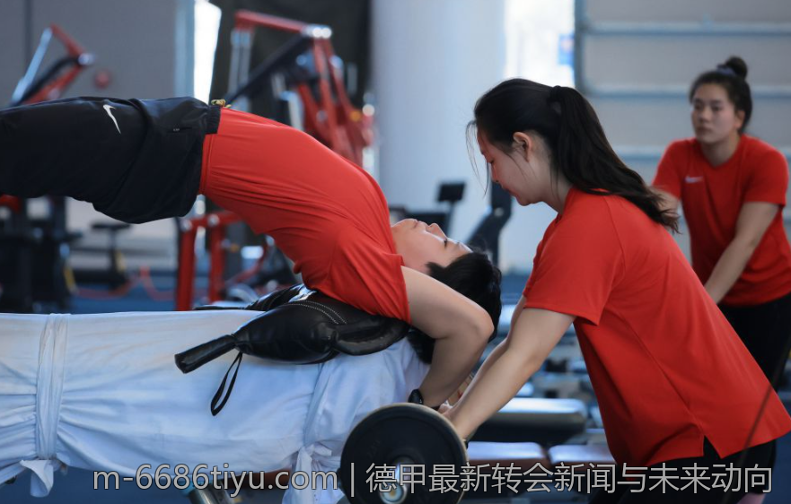 德甲最新转会新闻与未来动向